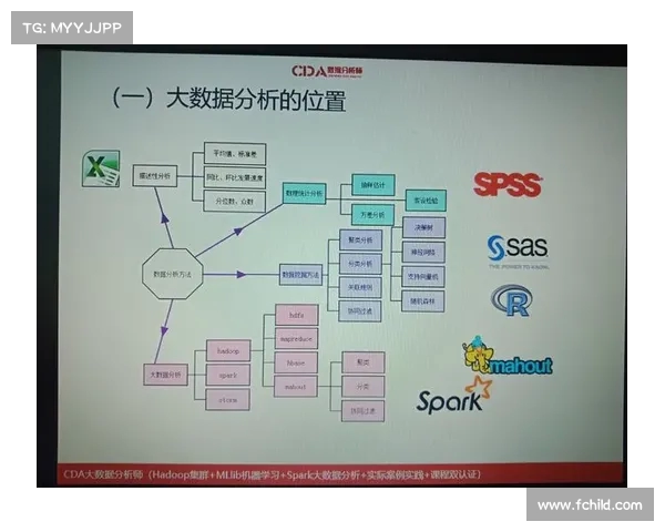 基于大数据分析的社会行为模式与趋势预测研究方法探讨